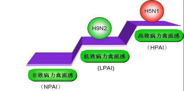 微信图片_20170627164558.jpg