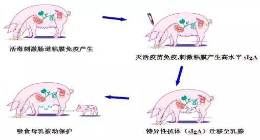 微信图片_20171110085449.jpg