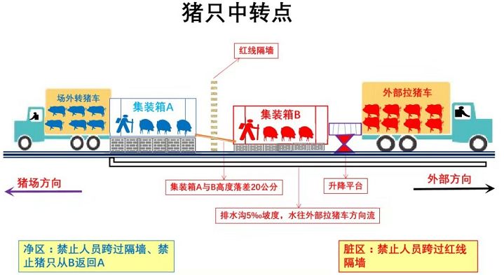 有幸躲过非瘟 (2).jpg