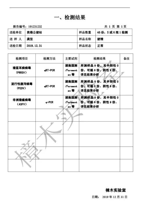 12月猪精 (2).jpg